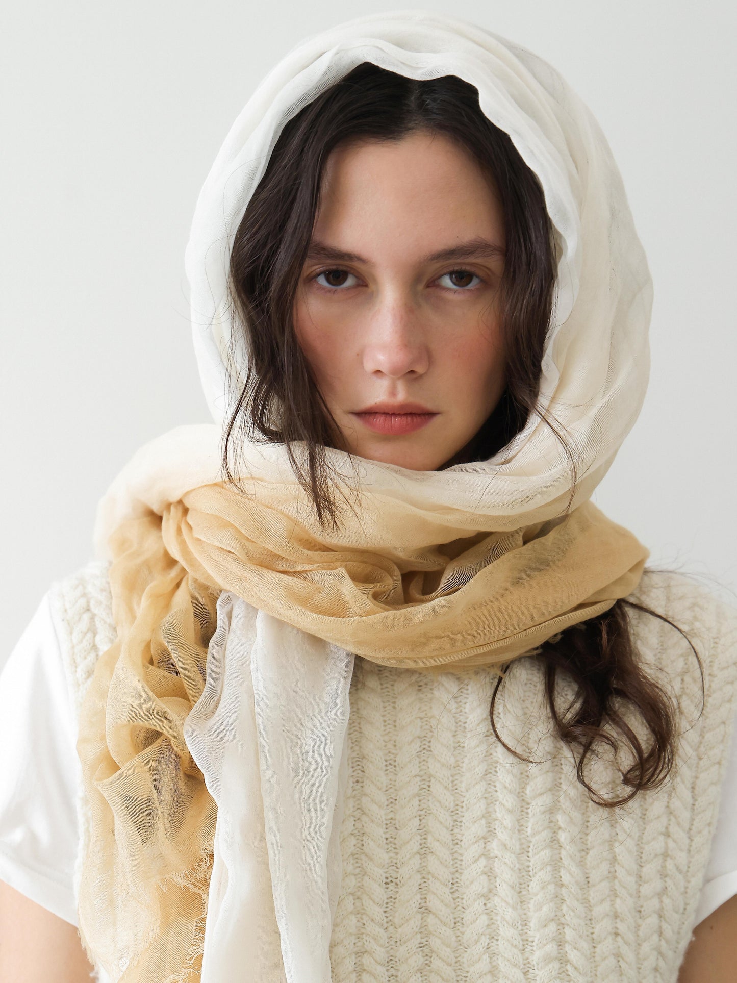 Ombre Veil Scarf